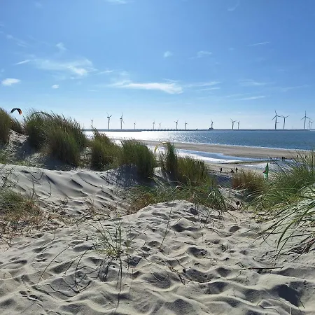 B&B Zeeuws Knoopje Burgh-Haamstede Buitenkant foto