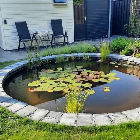 B&B Zeeuws Knoopje Burgh-Haamstede Buitenkant foto