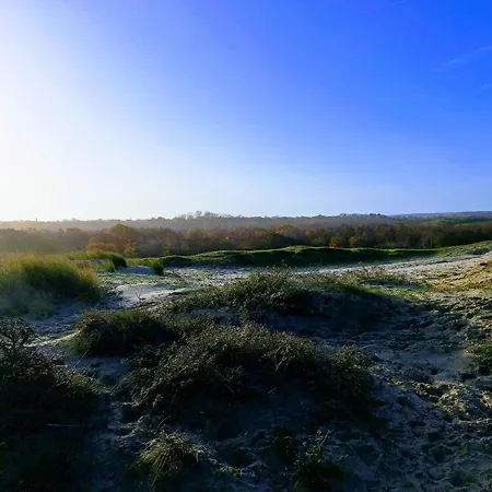 B&B Zeeuws Knoopje Burgh-Haamstede Buitenkant foto