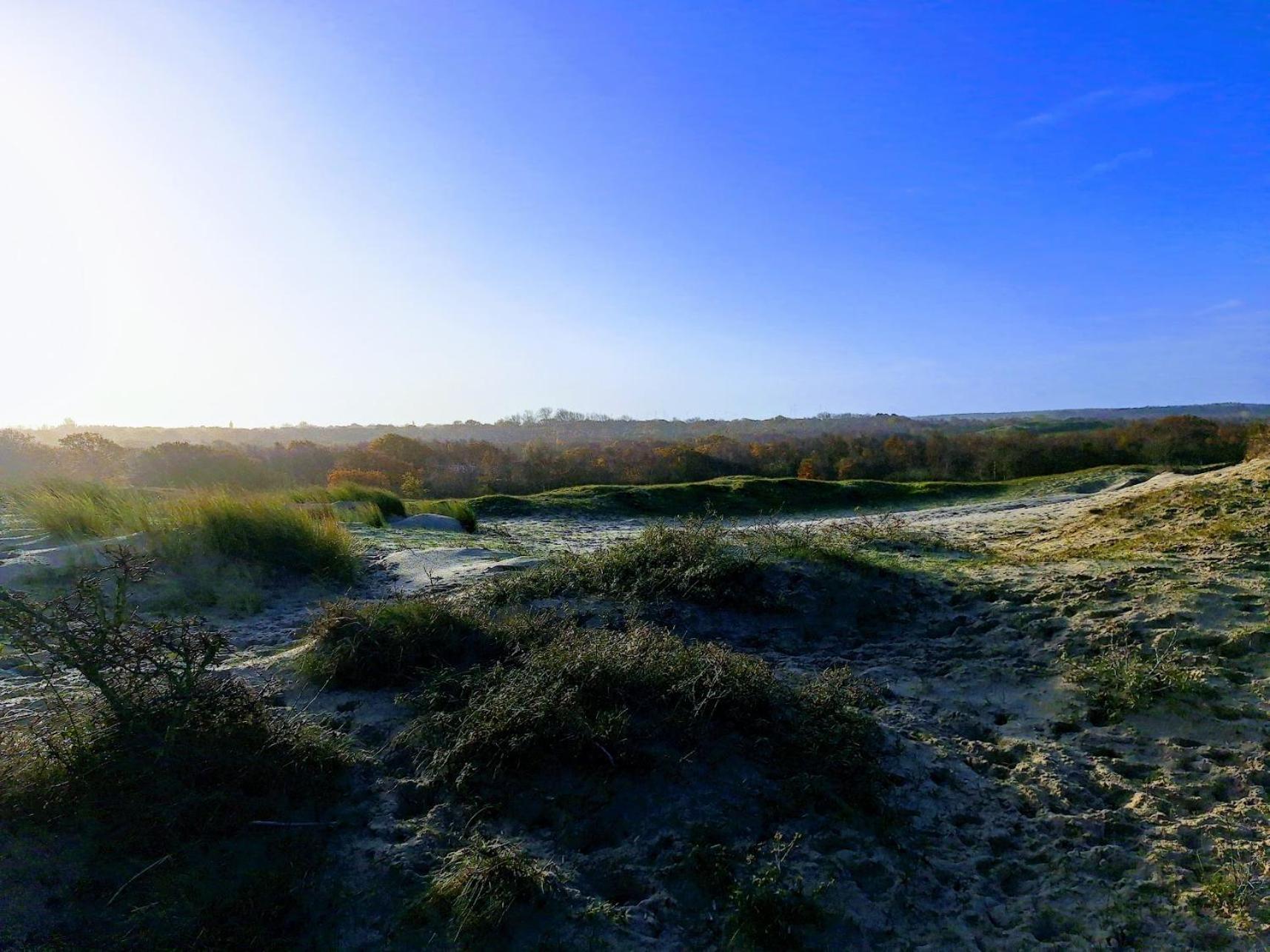Zeeuws Knoopje Burgh-Haamstede