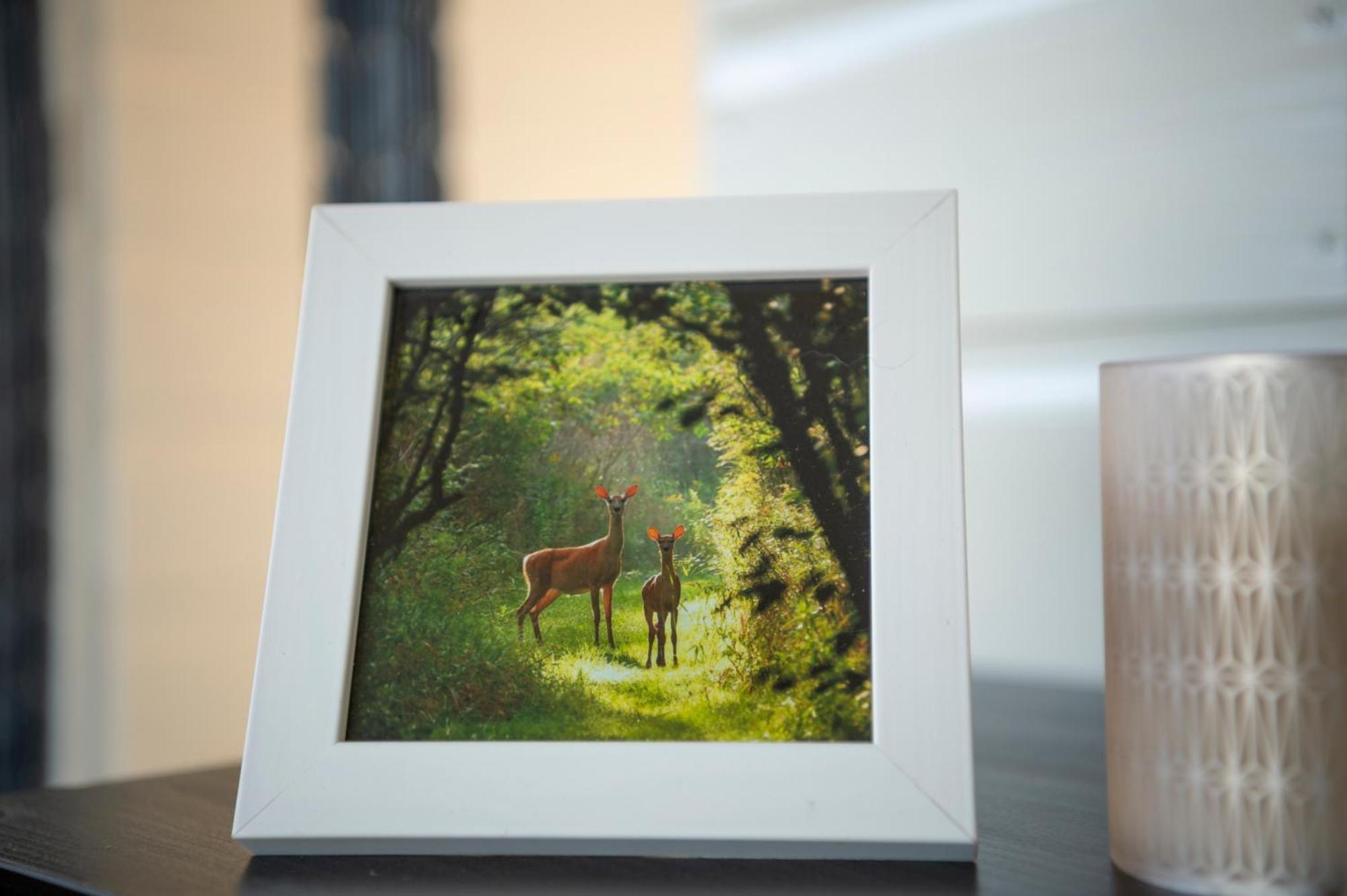 Zeeuws Knoopje Bed & Breakfast Burgh-Haamstede